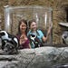 Ripley's Aquarium of the Smokies in Gatlinburg, TN