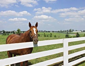 10Best Visits Kentucky Bluegrass Country