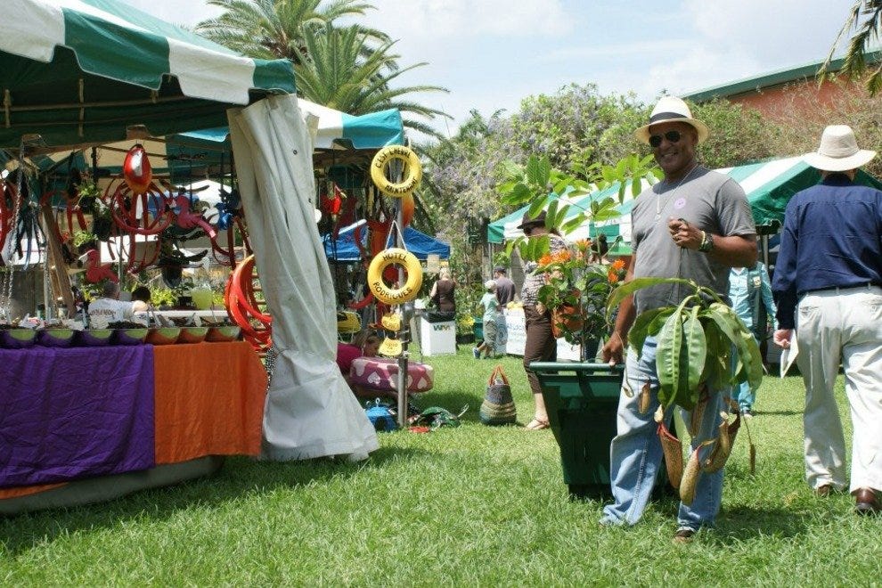 International Orchid Festival: Miami Attractions Review - 10Best