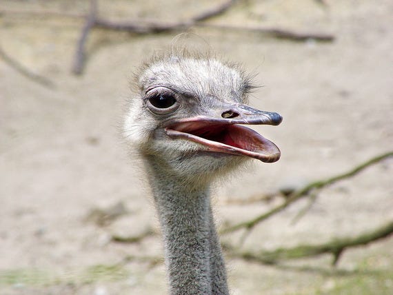 Here's Lookin' at Ya