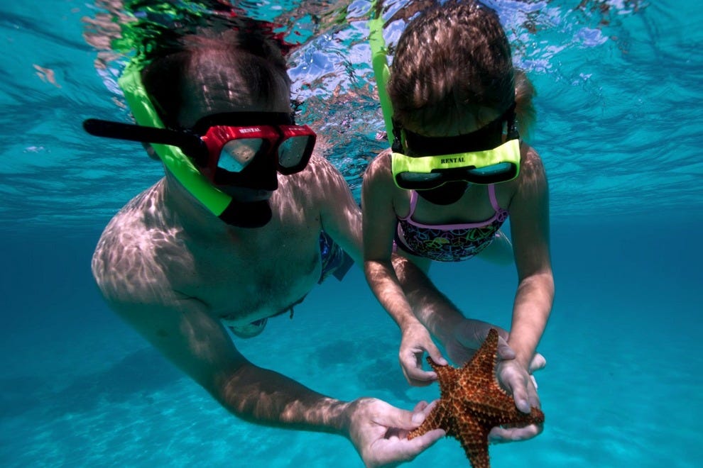 Aruba Scuba Diving and Snorkeling 10Best Aruba Scuba Reviews