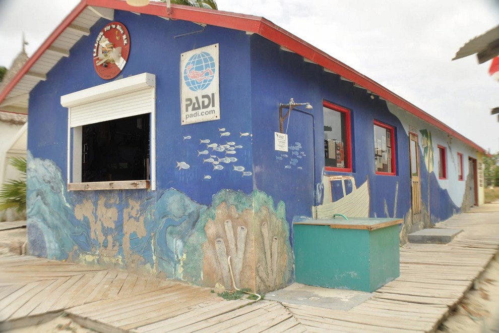 S.E.Aruba Fly 'n Dive Aruba Attractions Review 10Best Experts and