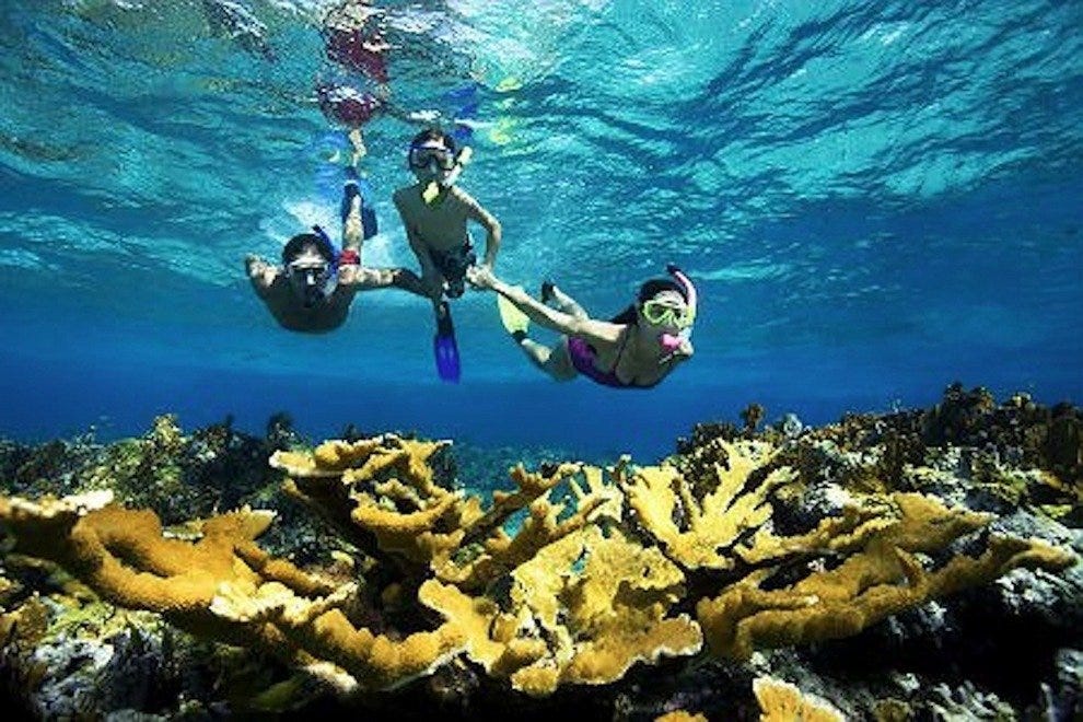 Private Snorkeling Aruba Aruba Attractions Review 10Best Experts and