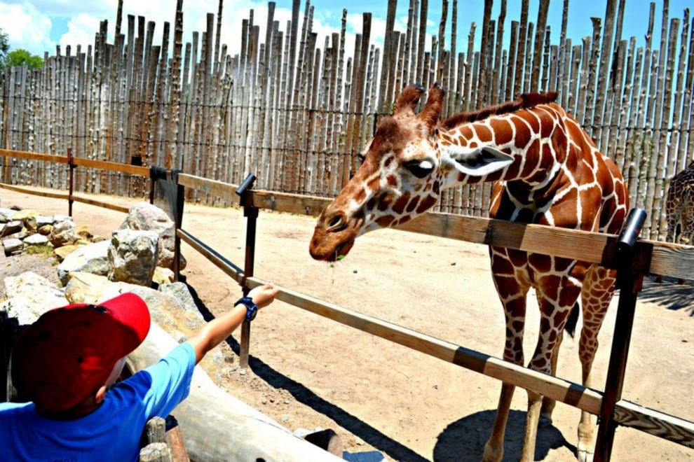 ABQ BioPark Zoo Albuquerque Attractions Review 10Best Experts and