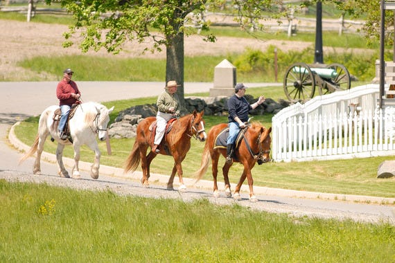 6. Take a Horseback Riding Tour
