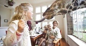 10 Best Hotels for Wildlife Viewing