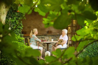 Best Pet Friendly Hotel Winners: 2013 10Best Readers&#039; Choice Travel Awards