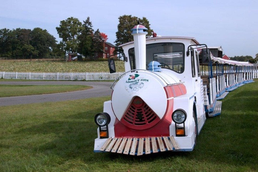 Belkin Family Lookout Farm Boston Attractions Review 10Best Experts