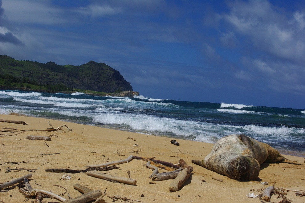 Kauai Outdoor Activities 10Best Outdoors Reviews