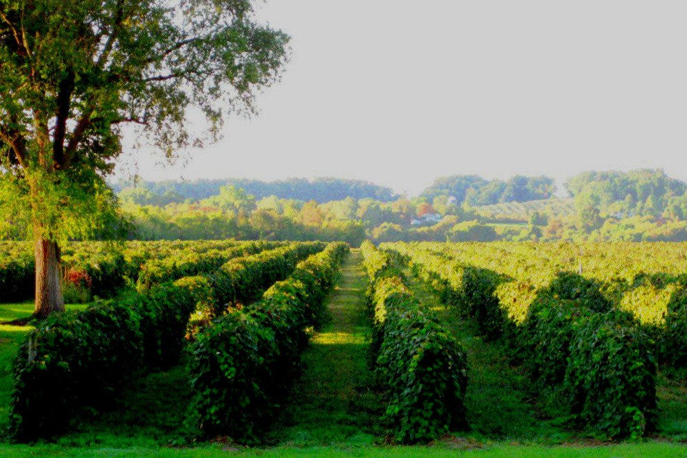 Niagara Wine Trail Buffalo Attractions Review 10Best Experts and