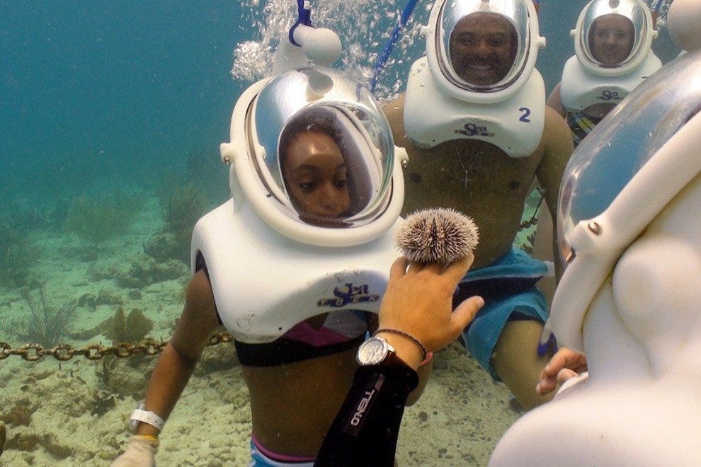 Coral World Ocean Park U.S. Virgin Islands Attractions Review 10Best