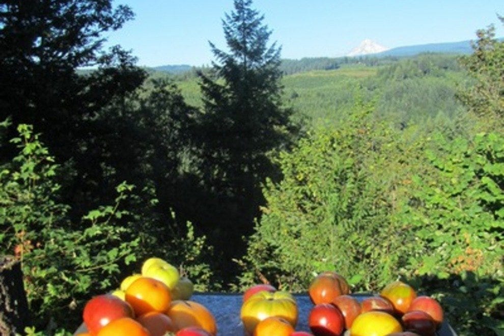 Seasons & Regions Portland Restaurants Review 10Best Experts and