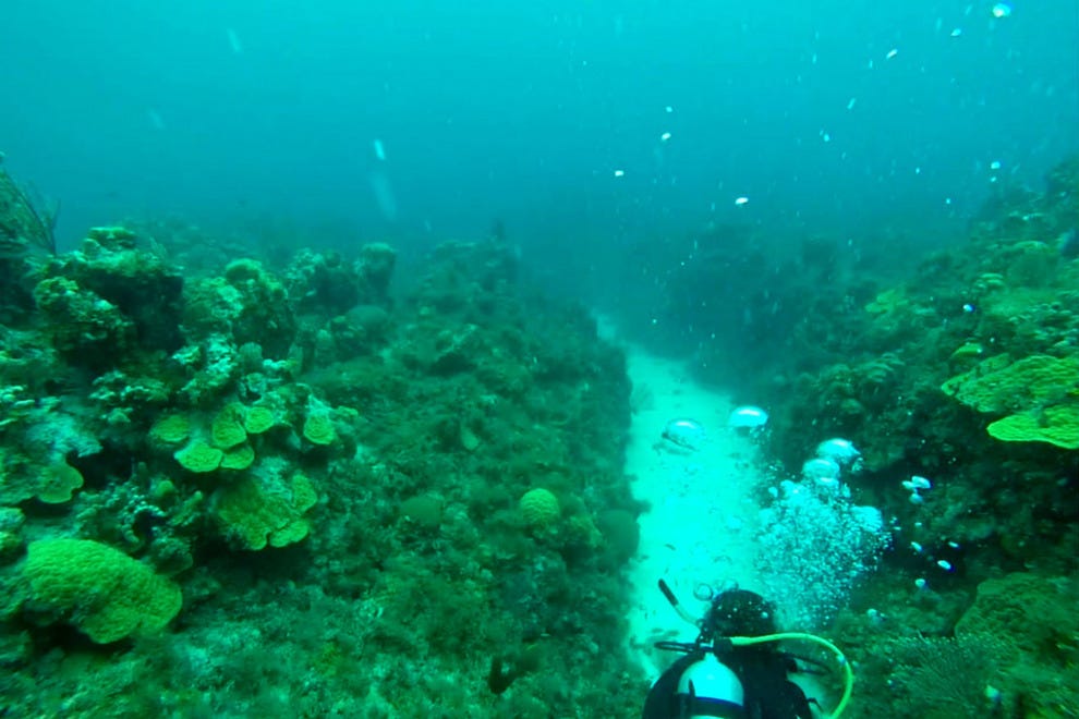 What to Expect When Scuba Diving in Jamaica Attractions Article by