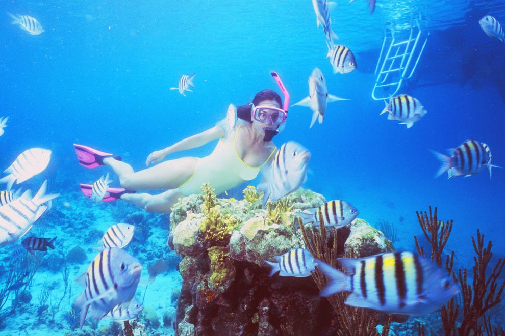 Nassau Scuba Diving and Snorkeling 10Best Bahamas Scuba Reviews