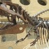 Fernbank Museum of Natural History