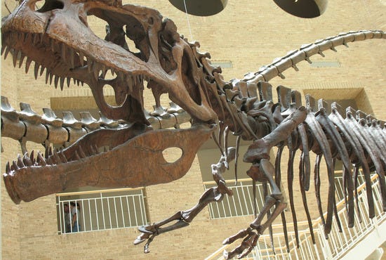 Fernbank Museum of Natural History