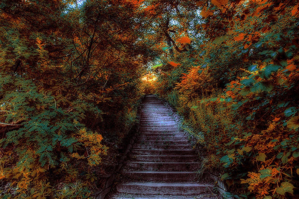 High Park Toronto Attractions Review 10Best Experts and Tourist Reviews