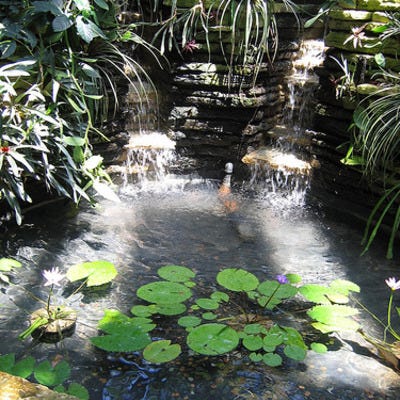 Garfield Park Conservatory