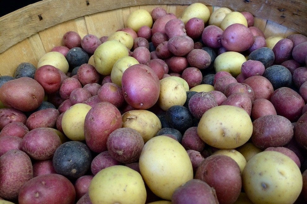 Produce for the People at The Vegetable Bin of Charleston