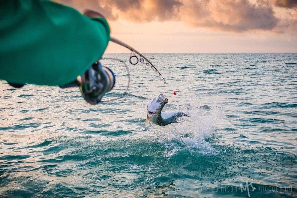 Fort Myers Fishing Charters 10Best Attractions Reviews