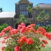 Bishop Museum