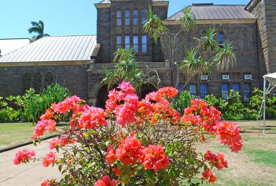 Bishop Museum