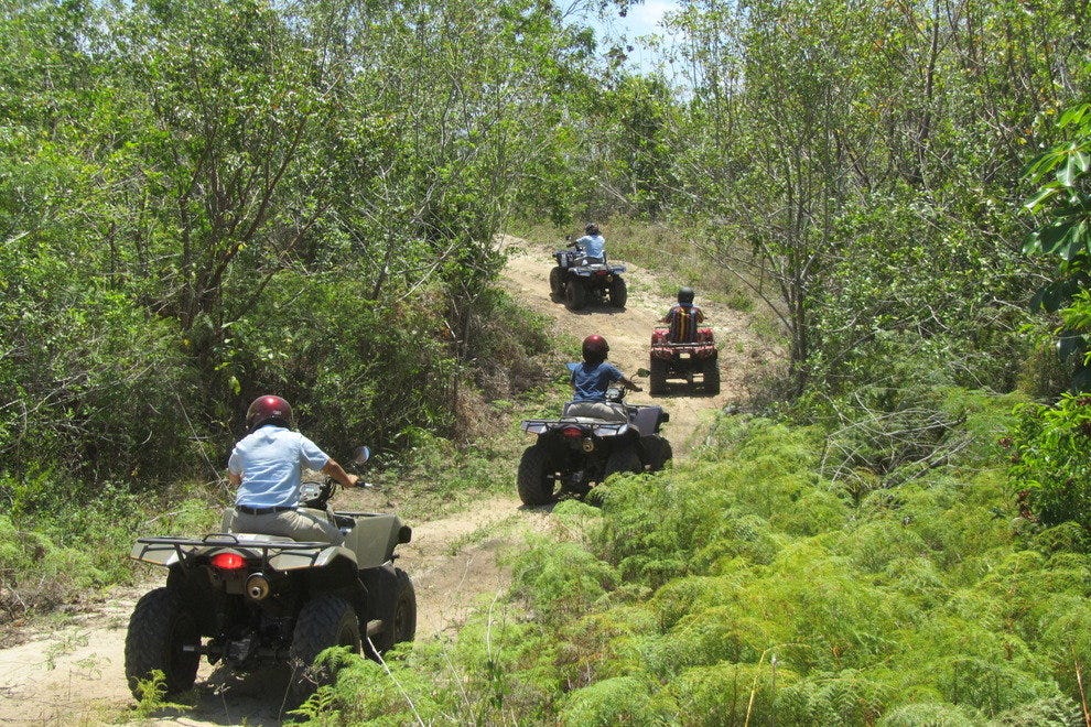 Grand Bahama Island's Best Tours and Excursions Attractions in Nassau