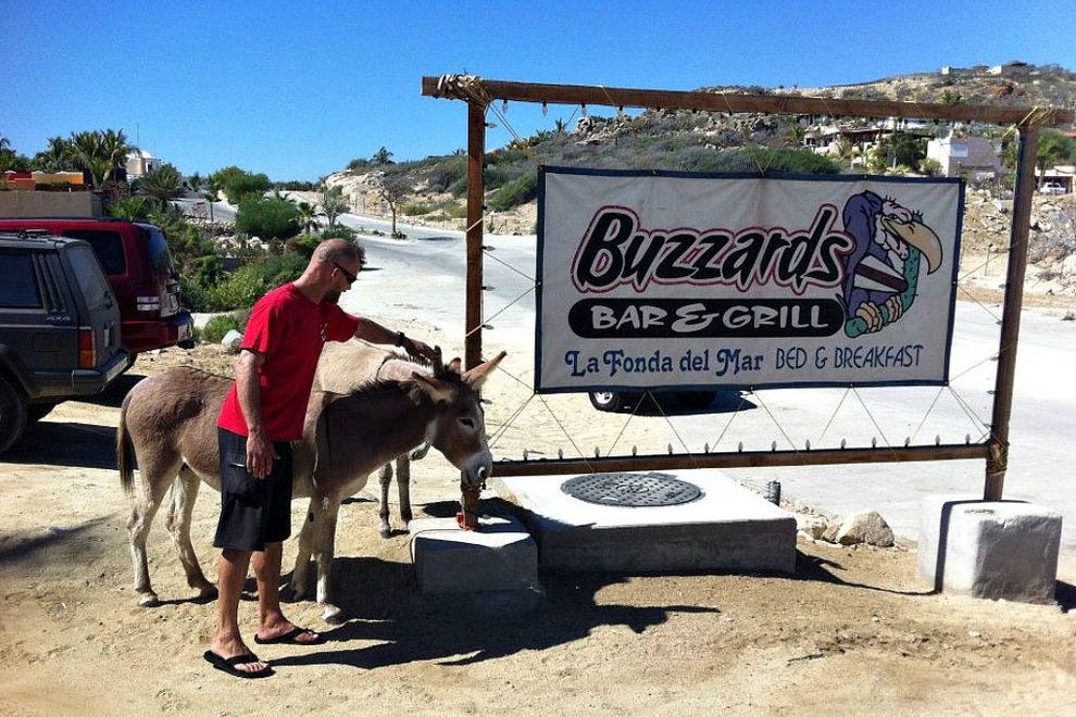 Buzzards Bar and Grill Cabo San Lucas Restaurants Review 10Best