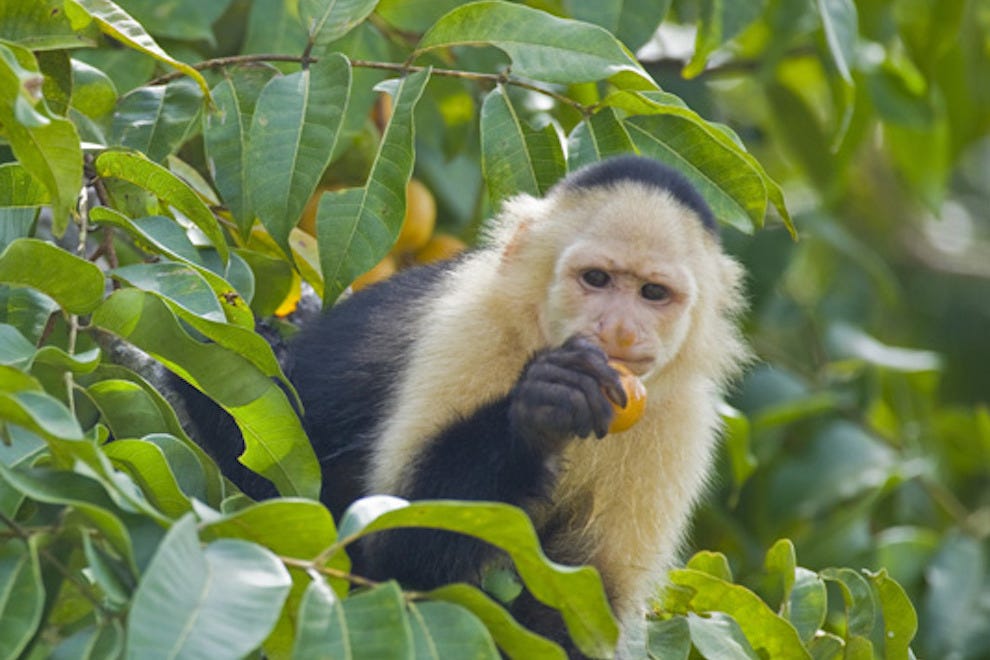 10 FamilyFriendly Trips That Will Get You Close to Wildlife