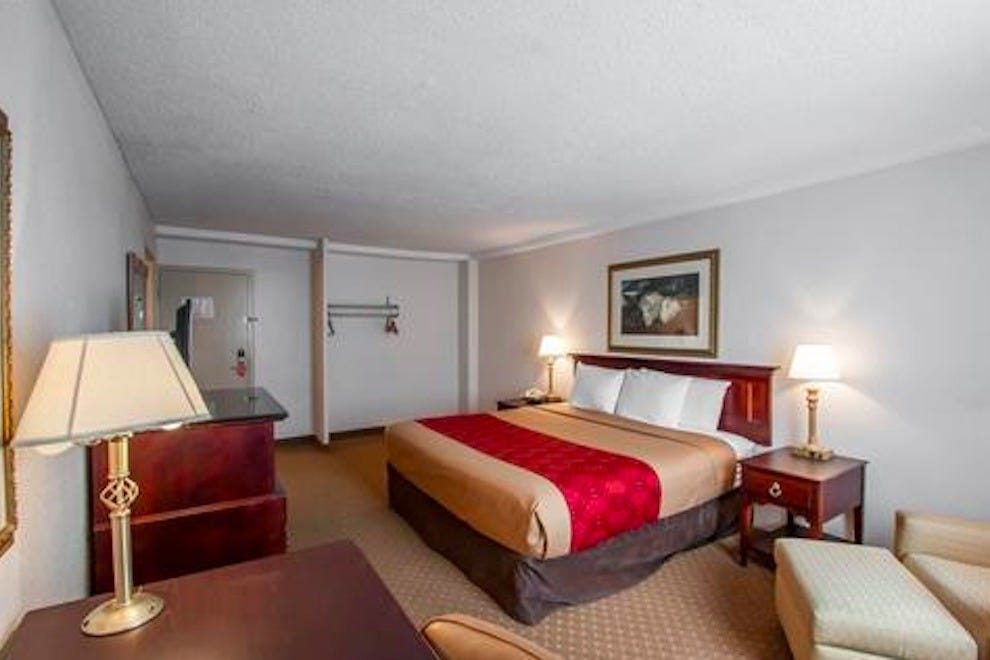Memphis Pet Friendly Hotels In Memphis TN Pet Friendly Hotel Reviews