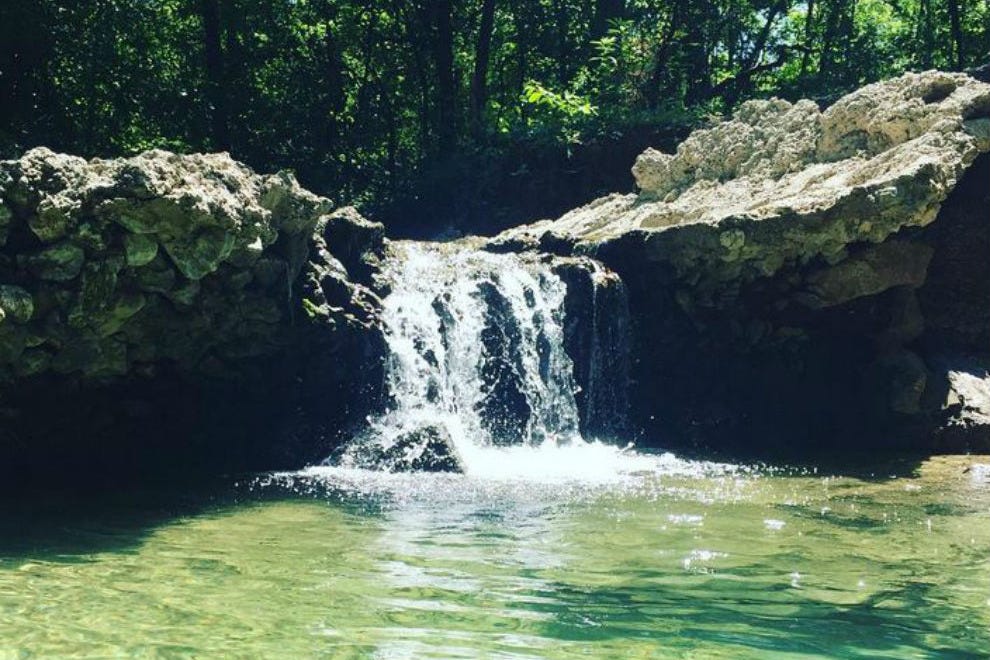 Arbor Hills Nature Preserve Dallas Attractions Review 10Best Experts