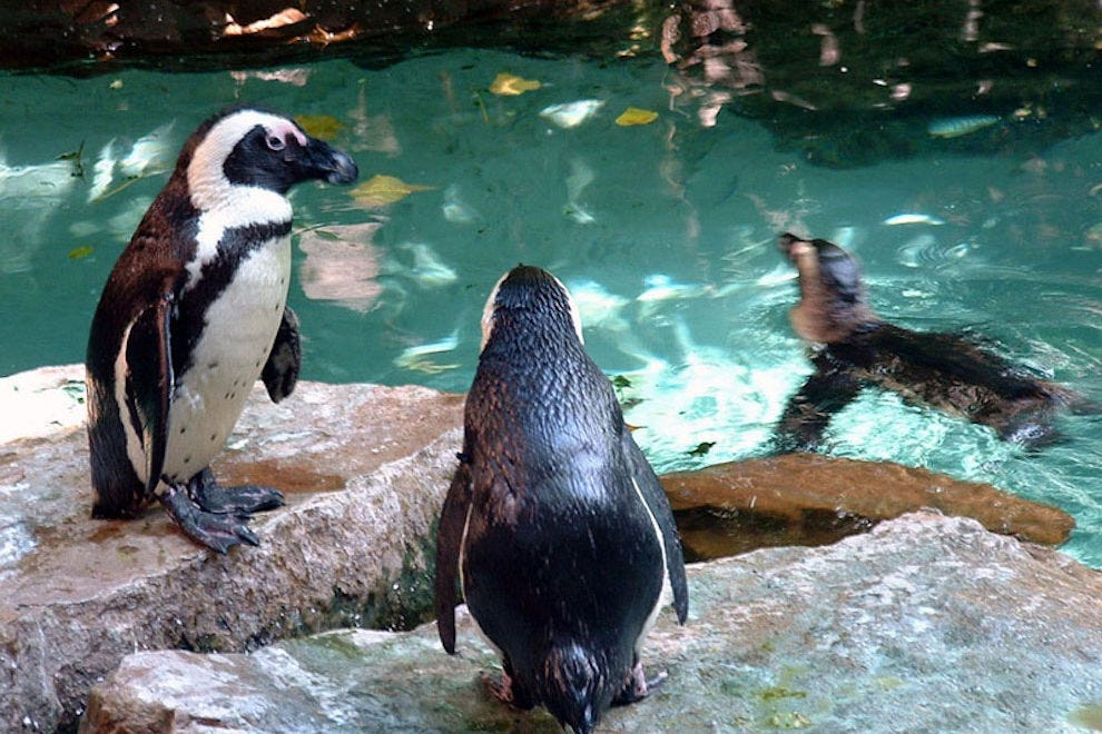 Best Aquarium Winners 2017 10Best Readers' Choice Travel Awards