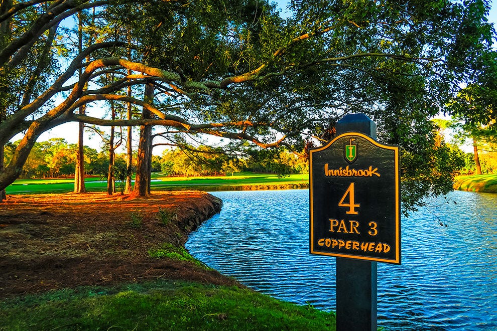 Innisbrook Copperhead Golf Course Miami Attractions Review 10Best