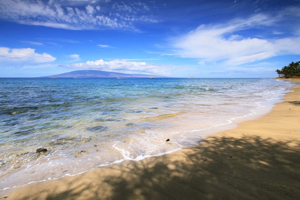 D.T. Fleming Beach