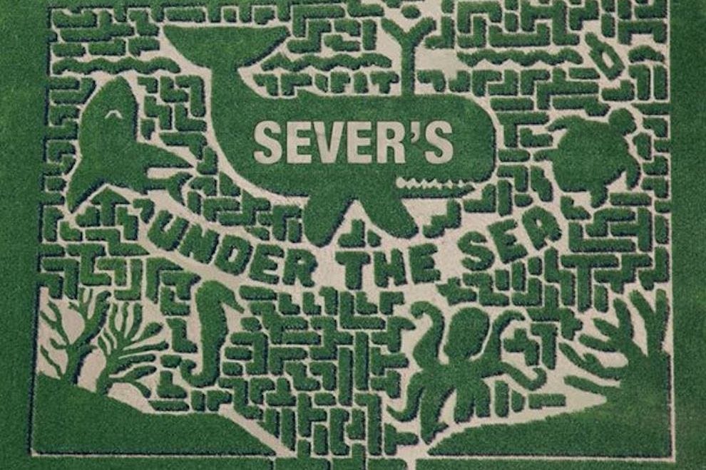 Sever's Fall Festival