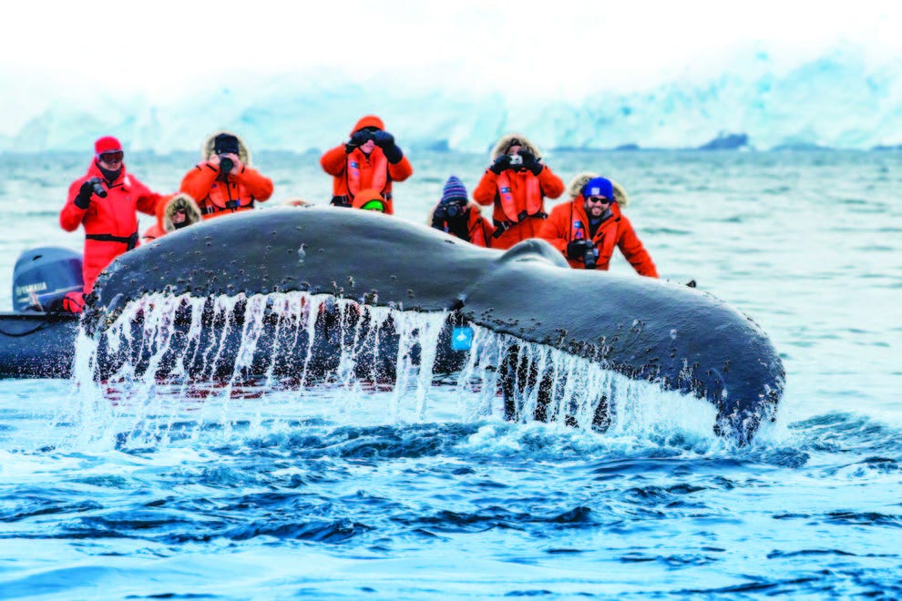 Lindblad Expeditions / National Geographic