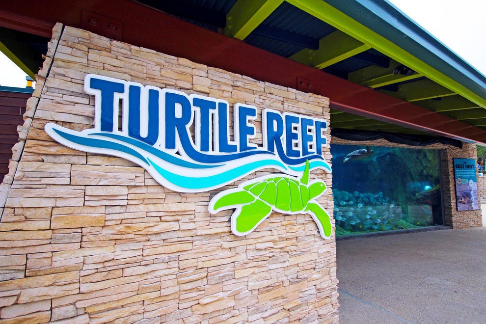 Turtle Reef