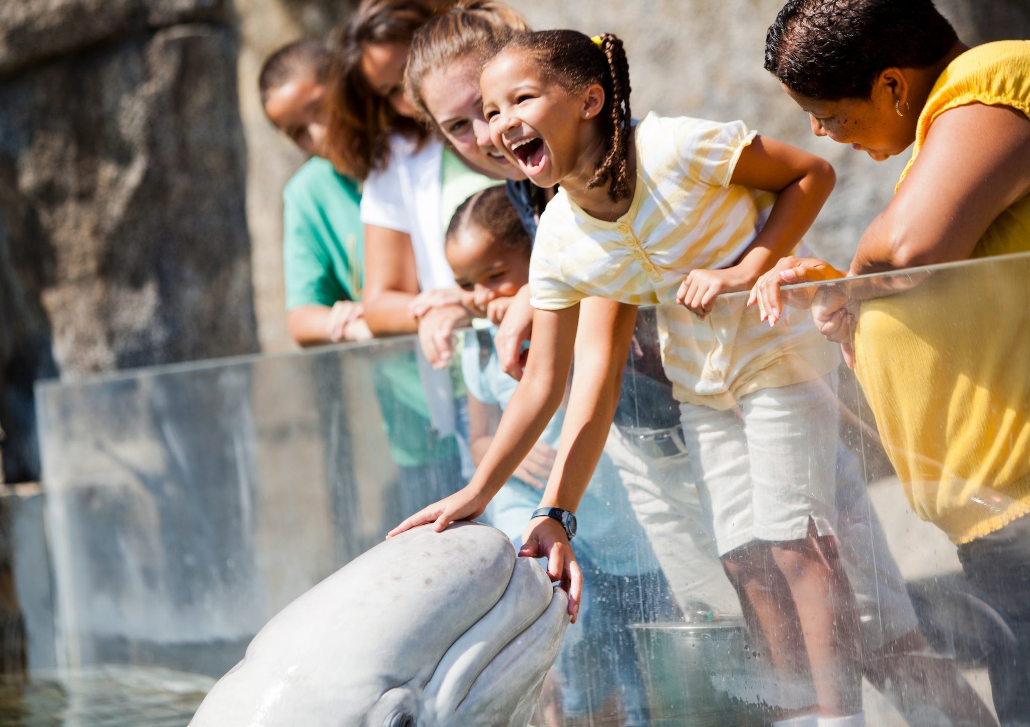 Mystic Aquarium
