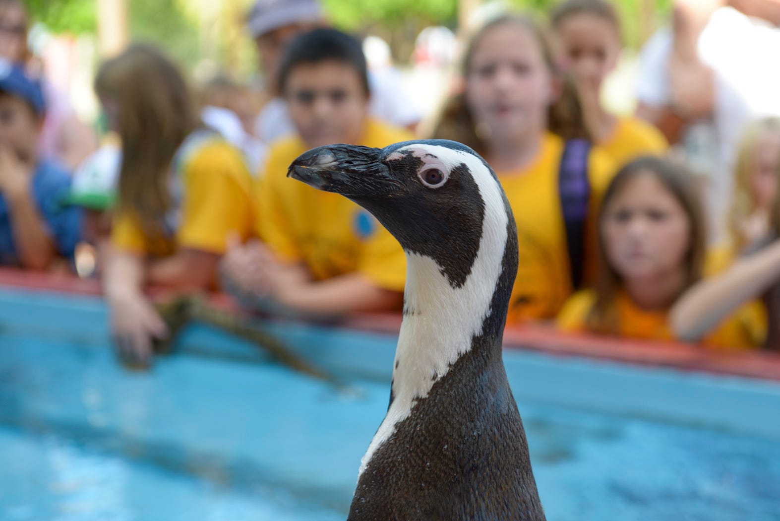 Columbus Zoo and Aquarium