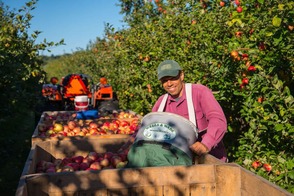 Solebury Orchards