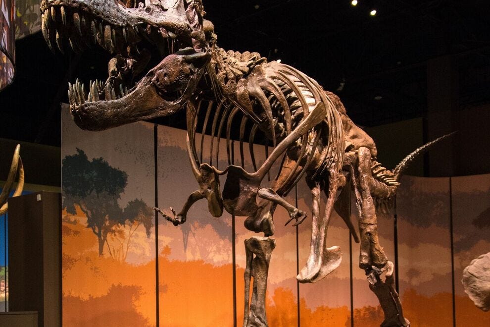 Tellus Science Museum
