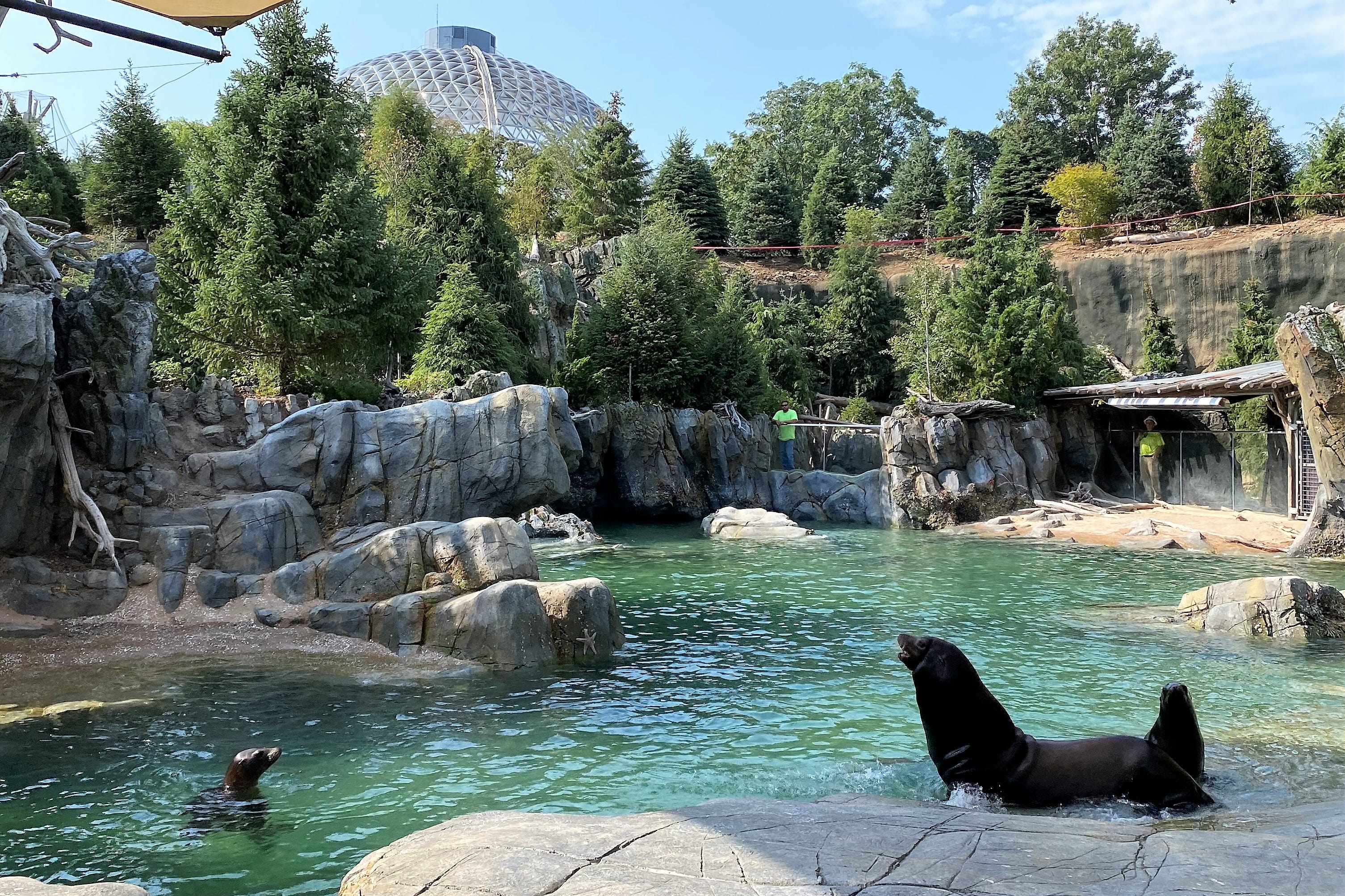 Omaha's Henry Doorly Zoo and Aquarium