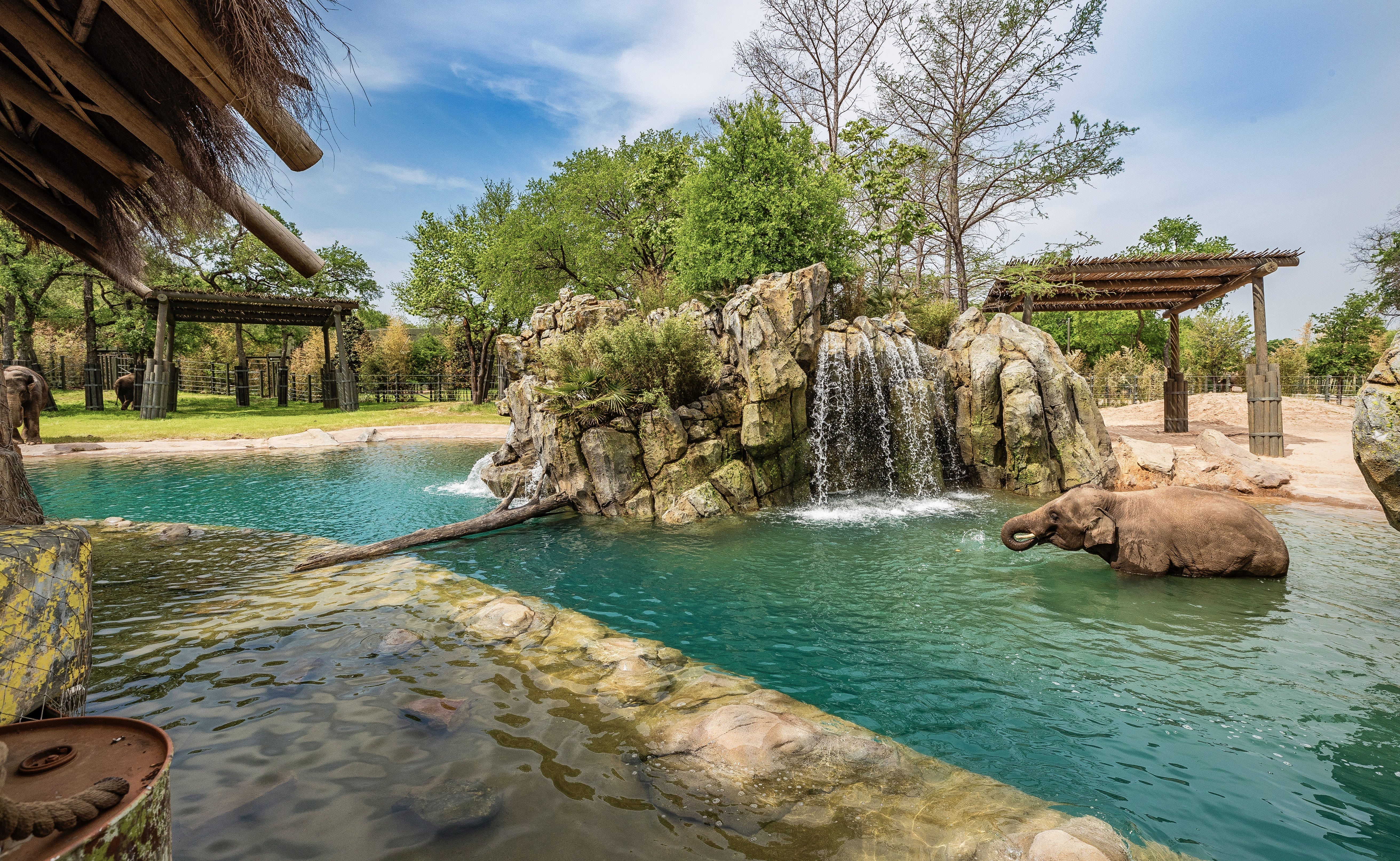 Fort Worth Zoo