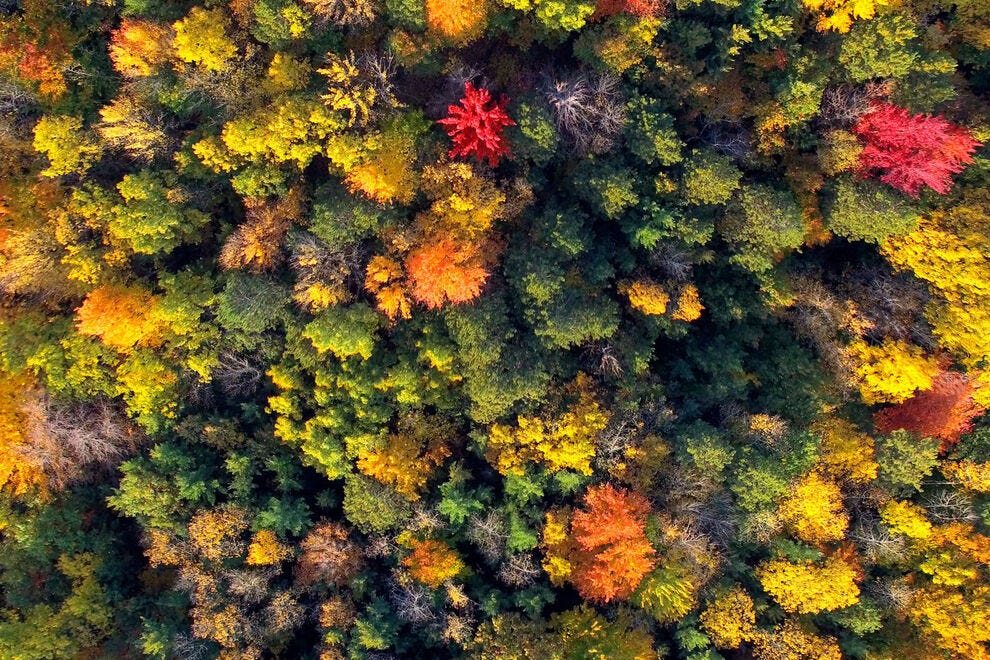 Mineral Point, Wisconsin