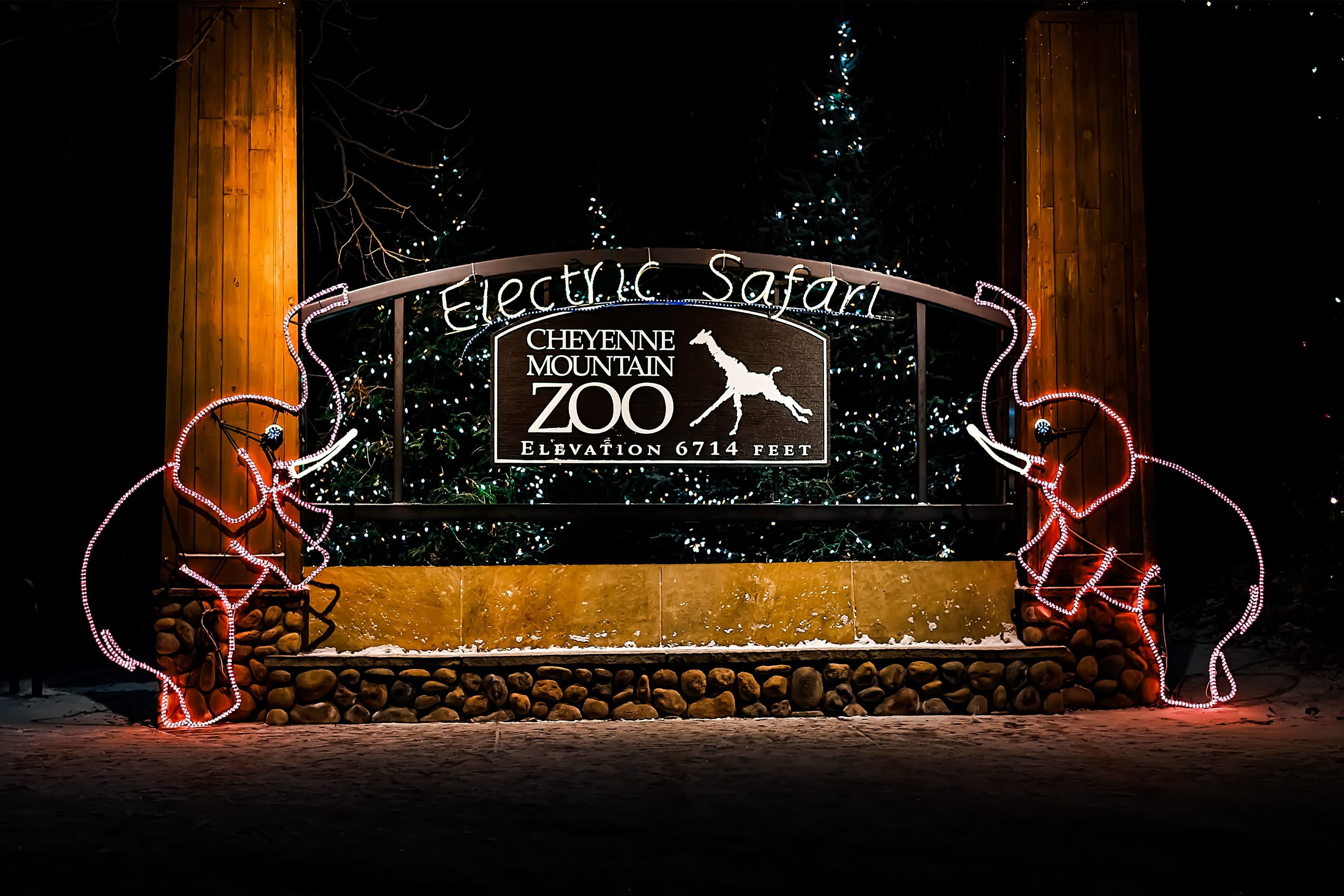 Electric Safari at Cheyenne Mountain Zoo