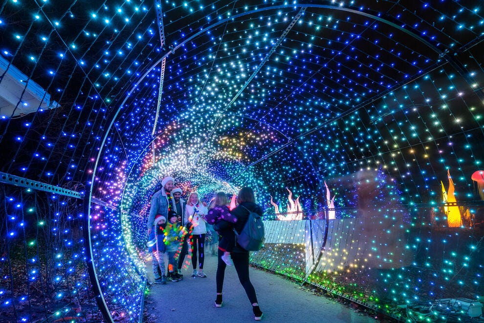 Philadelphia Zoo LumiNature