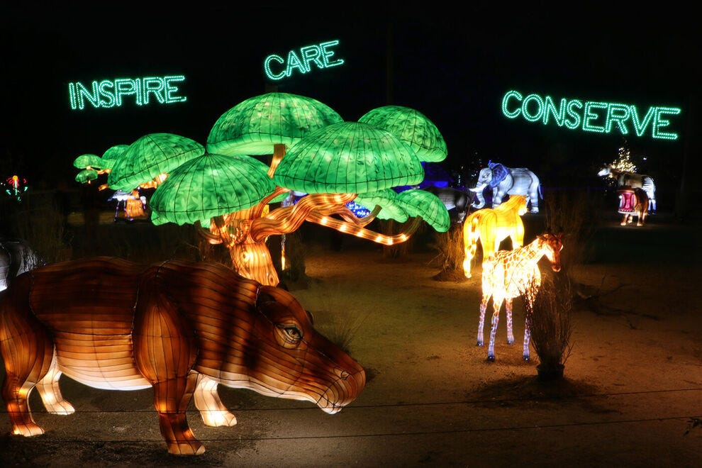 Dallas Zoo Lights