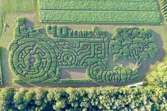 Best Corn Maze (2023)