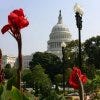 United States Botanic Garden