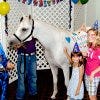 Arabian Nights in Orlando is available for a variety of private functions